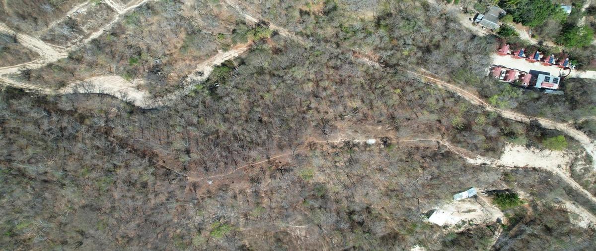 Foto de terreno habitacional en venta en  , santa maria huatulco centro, santa maría huatulco, oaxaca, 0 No. 05