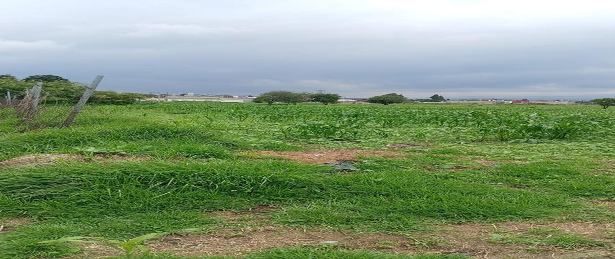 Foto de terreno habitacional en venta en  , santa maría magdalena ocotitlán, metepec, méxico, 0 No. 03