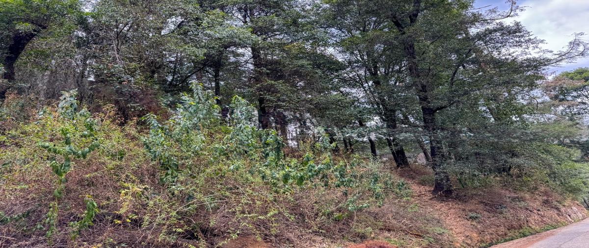 Foto de terreno habitacional en venta en  , santa maría mazatla, jilotzingo, méxico, 28287487 No. 03