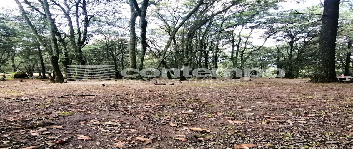 Foto de terreno habitacional en venta en  , santa maría mazatla, jilotzingo, méxico, 0 No. 04