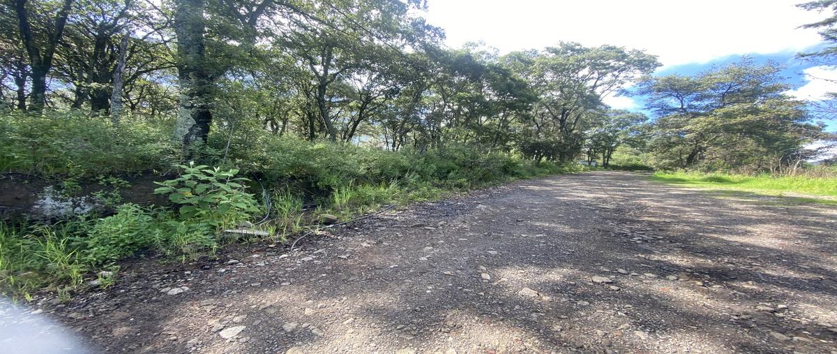 Foto de terreno habitacional en , santa maría mazatla, jilotzingo, méxico, 0 foto 04 Foto de terreno habitacional en venta en , santa maría mazatla, jilotzingo, méxico, 0 No. 04