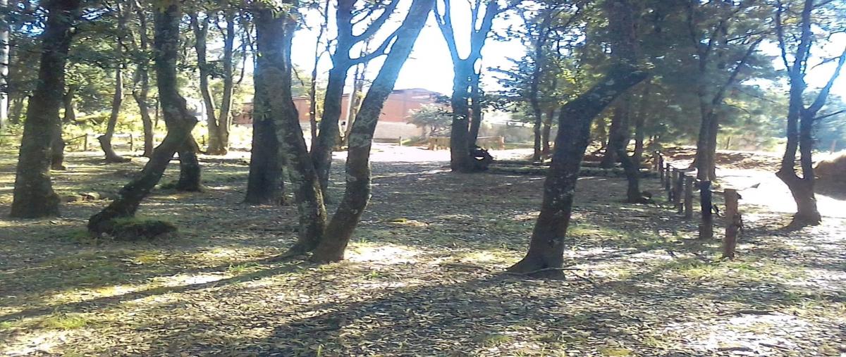 Foto de terreno habitacional en venta en  , santa maría mazatla, jilotzingo, méxico, 0 No. 05