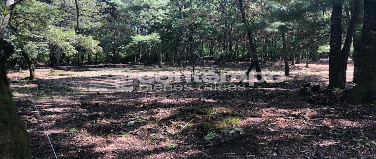 Foto de terreno habitacional en santa maría mazatla , santa maría mazatla, jilotzingo, méxico, 28150201 foto 01 Foto de terreno habitacional en venta en santa maría mazatla , santa maría mazatla, jilotzingo, méxico, 28150201 No. 01