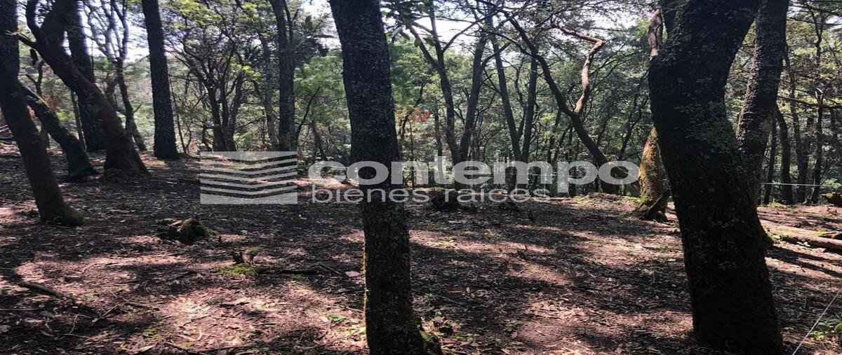 Foto de terreno habitacional en santa maría mazatla , santa maría mazatla, jilotzingo, méxico, 28150201 foto 02 Foto de terreno habitacional en venta en santa maría mazatla , santa maría mazatla, jilotzingo, méxico, 28150201 No. 02