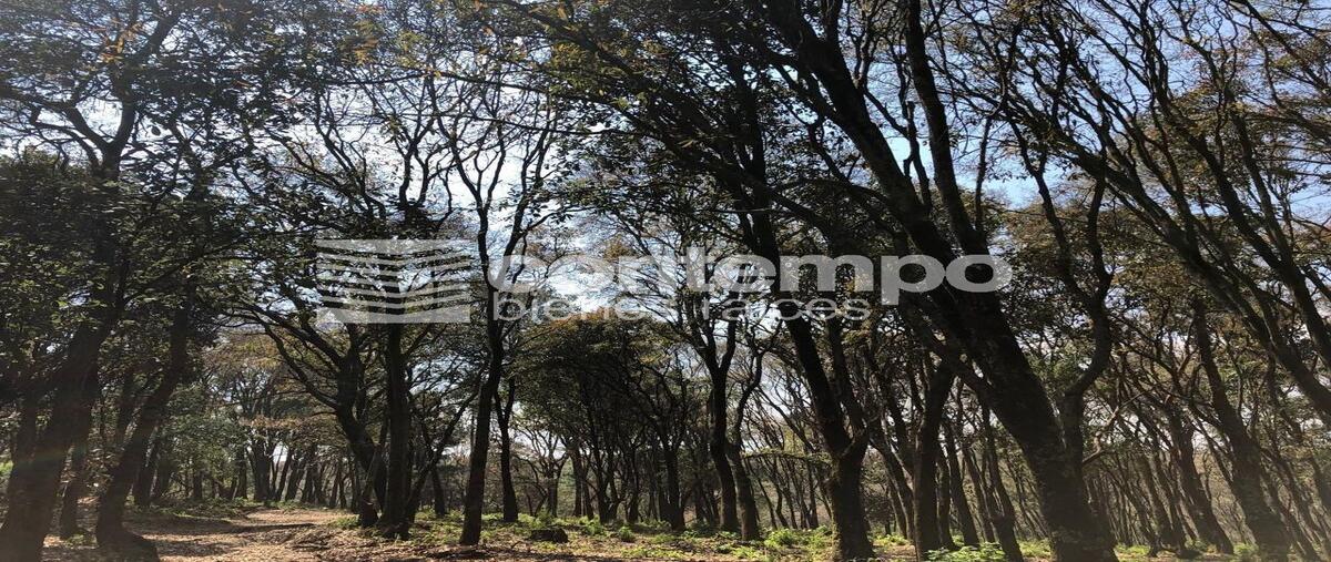 Foto de terreno habitacional en santa maría mazatla , santa maría mazatla, jilotzingo, méxico, 28150201 foto 05 Foto de terreno habitacional en venta en santa maría mazatla , santa maría mazatla, jilotzingo, méxico, 28150201 No. 05