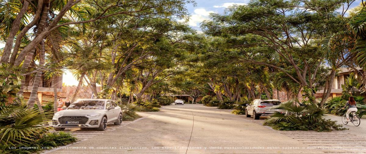 Foto de terreno habitacional en venta en  , santa maria, mérida, yucatán, 0 No. 04