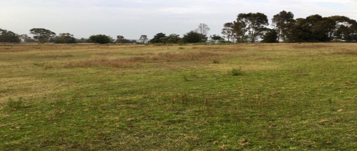 Foto de terreno habitacional en venta en  , santa maría nativitas, aculco, méxico, 26997716 No. 05