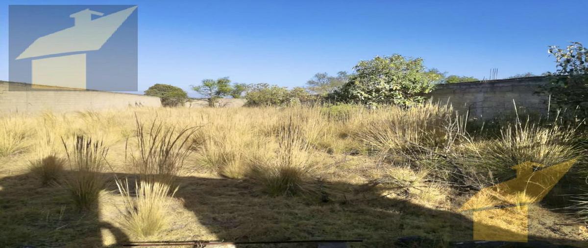 Foto de terreno habitacional en venta en  , santa maría nativitas, calimaya, méxico, 0 No. 03