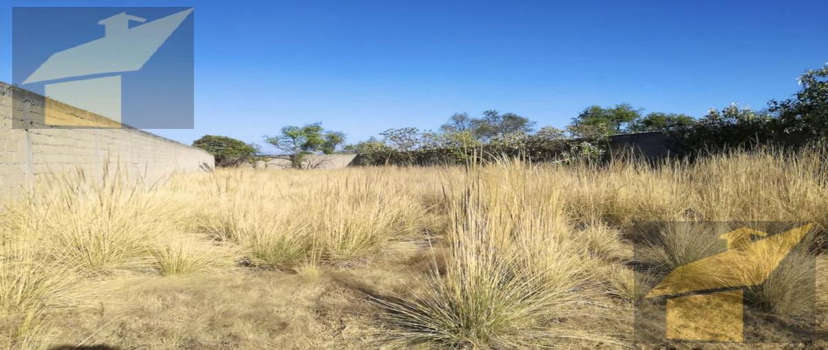 Foto de terreno habitacional en venta en  , santa maría nativitas, calimaya, méxico, 0 No. 04