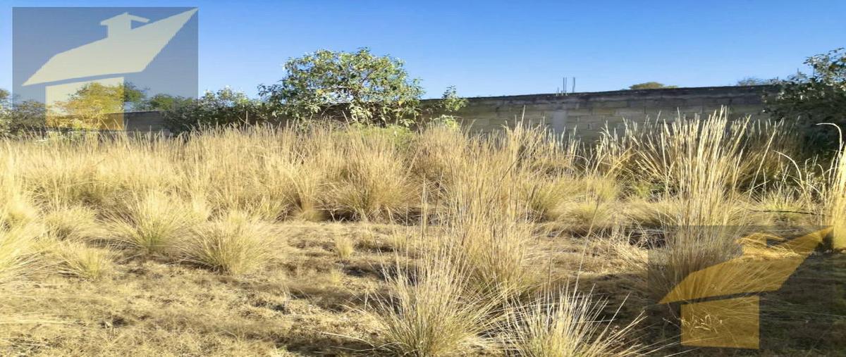 Foto de terreno habitacional en venta en  , santa maría nativitas, calimaya, méxico, 0 No. 05