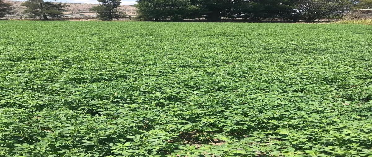 Foto de terreno habitacional en , santa maría nativitas, colón, querétaro, 0 foto 03 Foto de terreno habitacional en venta en , santa maría nativitas, colón, querétaro, 0 No. 03