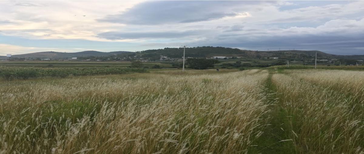 Foto de terreno habitacional en , santa maría, san andrés cholula, puebla, 24885338 foto 02 Foto de terreno habitacional en venta en , santa maría, san andrés cholula, puebla, 24885338 No. 02