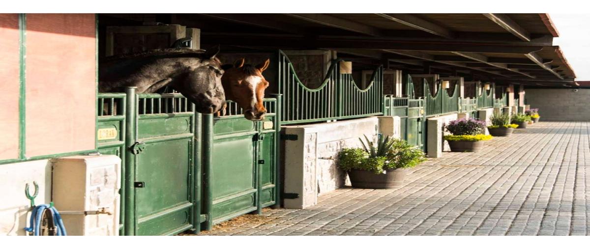 Foto de terreno habitacional en venta en  , santa maría, san andrés cholula, puebla, 0 No. 03