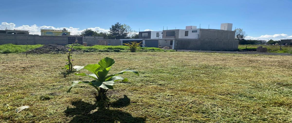 Foto de terreno habitacional en venta en  , santa maría, san mateo atenco, méxico, 30240509 No. 03