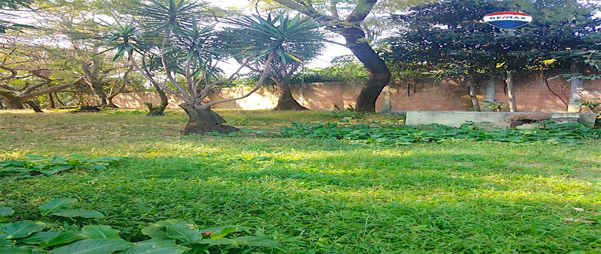 Foto de terreno habitacional en venta en santa maría , santa maría ahuacatitlán, cuernavaca, morelos, 23423817 No. 03