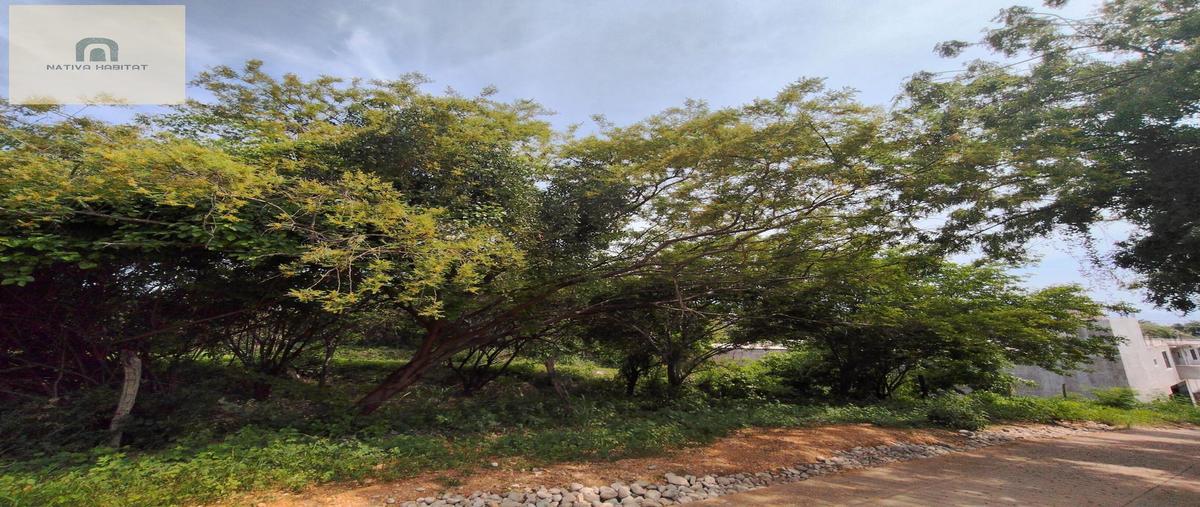 Foto de terreno habitacional en venta en  , santa maria, santa maría colotepec, oaxaca, 0 No. 03
