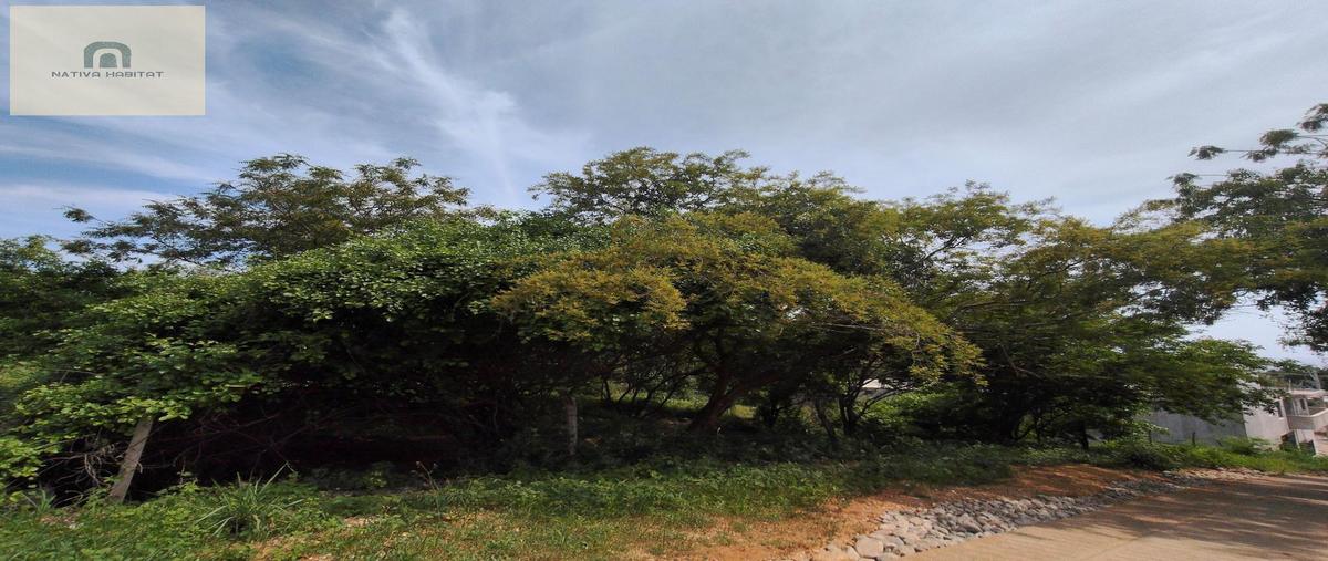 Foto de terreno habitacional en venta en  , santa maria, santa maría colotepec, oaxaca, 0 No. 04
