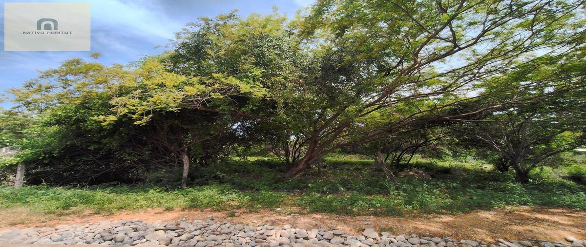 Foto de terreno habitacional en venta en  , santa maria, santa maría colotepec, oaxaca, 0 No. 05