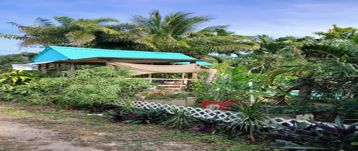 Foto de rancho en santa maria , santa maría rosas, conkal, yucatán, 0 foto 01 Foto de rancho en venta en santa maria , santa maría rosas, conkal, yucatán, 0 No. 01