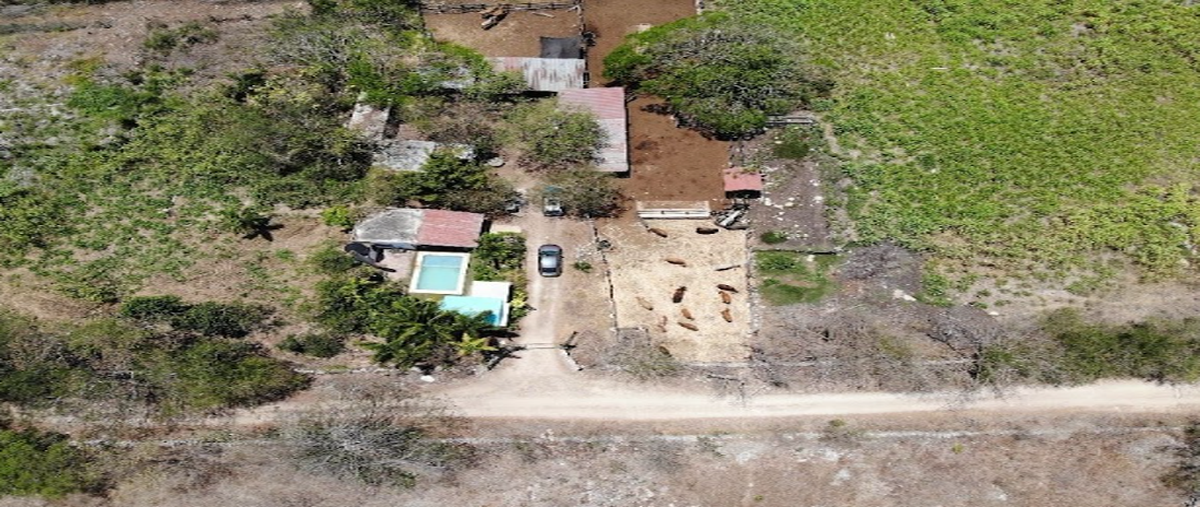 Foto de rancho en santa maria , santa maría rosas, conkal, yucatán, 0 foto 02 Foto de rancho en venta en santa maria , santa maría rosas, conkal, yucatán, 0 No. 02