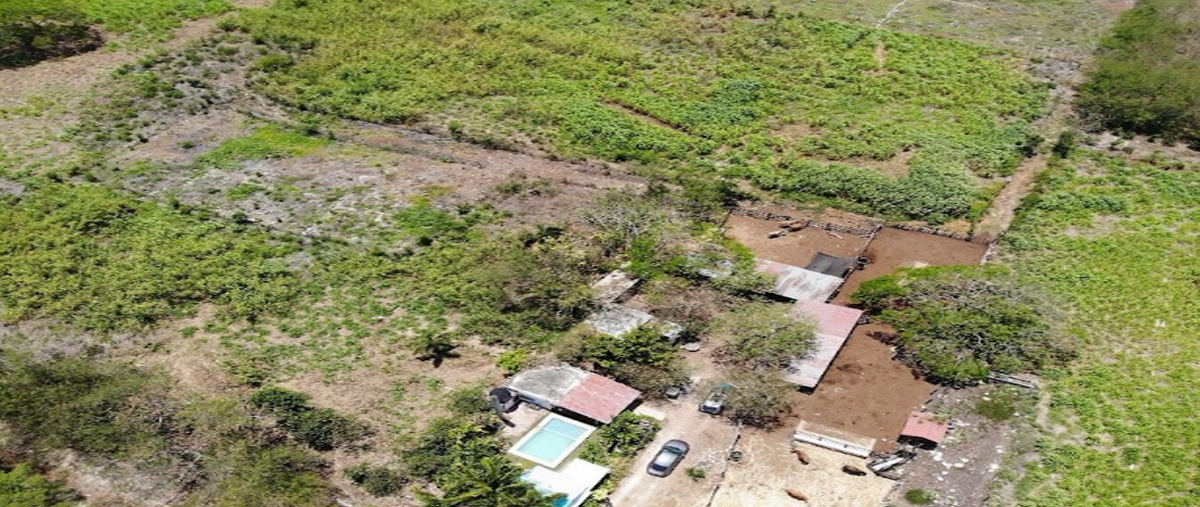 Foto de rancho en santa maria , santa maría rosas, conkal, yucatán, 0 foto 03 Foto de rancho en venta en santa maria , santa maría rosas, conkal, yucatán, 0 No. 03