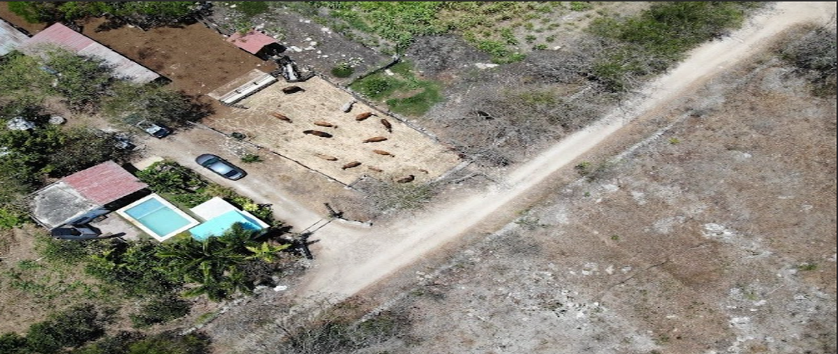 Foto de rancho en santa maria , santa maría rosas, conkal, yucatán, 0 foto 04 Foto de rancho en venta en santa maria , santa maría rosas, conkal, yucatán, 0 No. 04