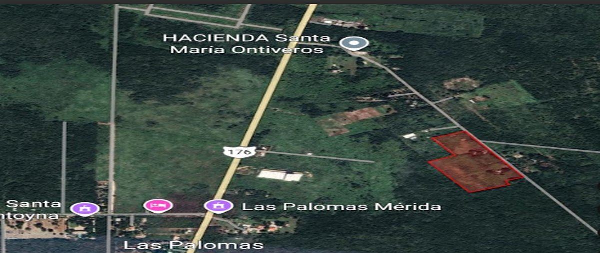 Foto de rancho en santa maria , santa maría rosas, conkal, yucatán, 0 foto 05 Foto de rancho en venta en santa maria , santa maría rosas, conkal, yucatán, 0 No. 05
