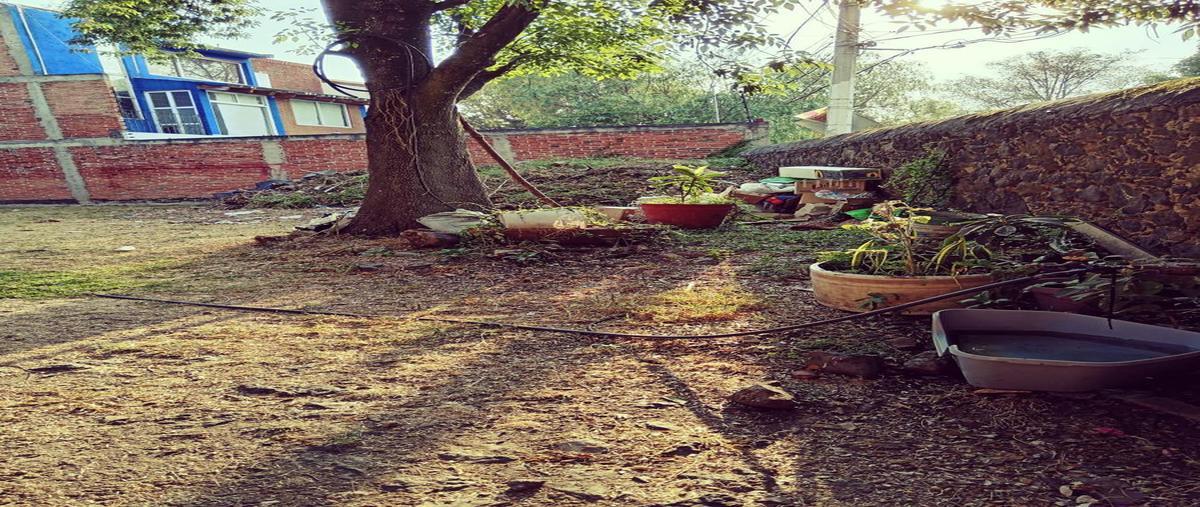 Foto de terreno habitacional en venta en  , santa maría tepepan, xochimilco, df / cdmx, 0 No. 03