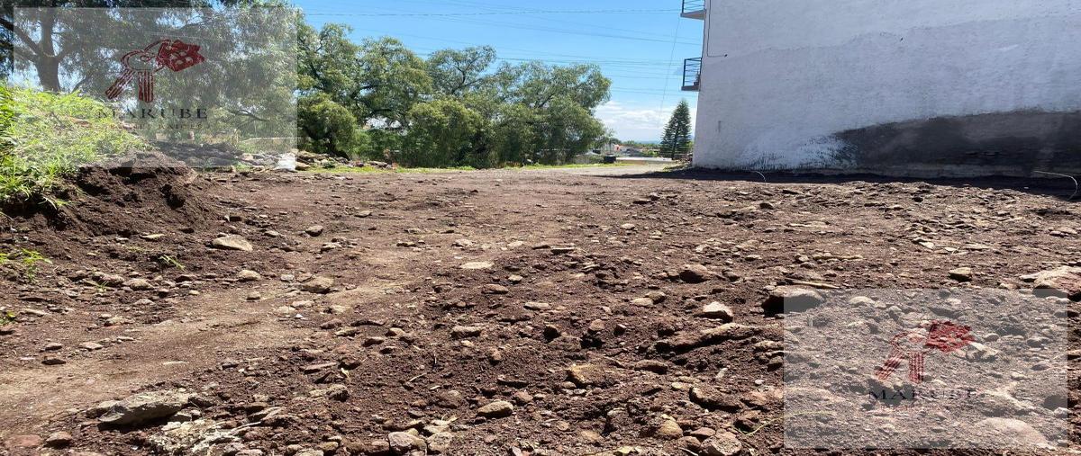 Foto de terreno habitacional en venta en  , santa maría tepepan, xochimilco, df / cdmx, 0 No. 03