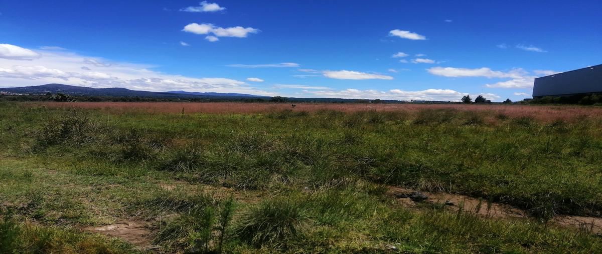 Foto de terreno habitacional en venta en  , santa maria texcalac, apizaco, tlaxcala, 25877091 No. 04
