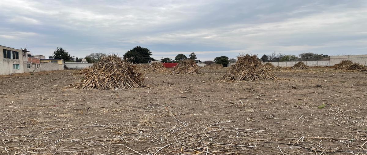 Foto de terreno habitacional en venta en  , santa maria texcalac, apizaco, tlaxcala, 0 No. 04