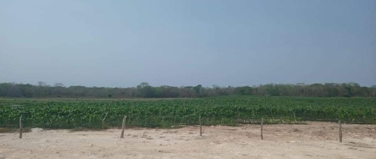 Foto de terreno habitacional en venta en  , santa maria, tizimín, yucatán, 27276368 No. 03