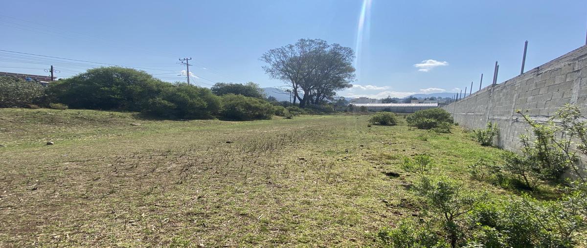 Foto de terreno habitacional en venta en  , santa maría tlalmimilolpan, lerma, méxico, 0 No. 03