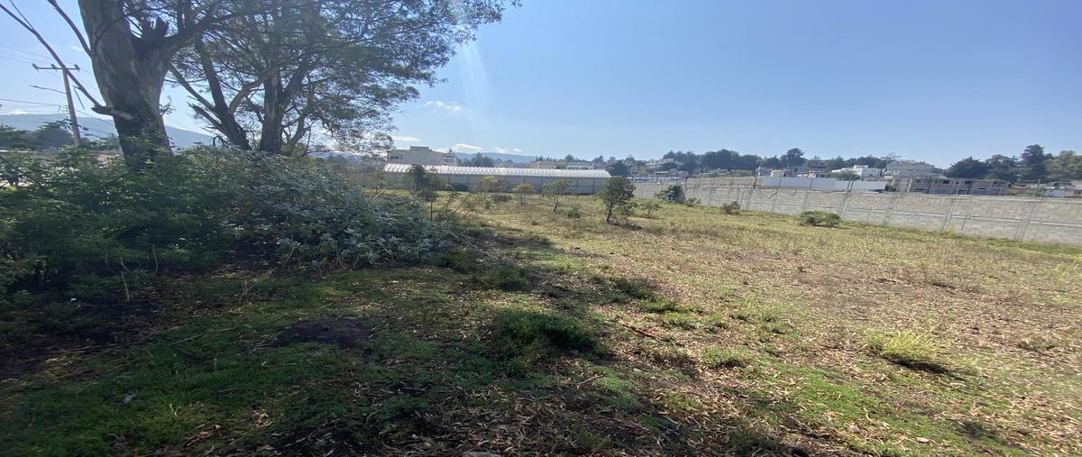 Foto de terreno habitacional en venta en  , santa maría tlalmimilolpan, lerma, méxico, 0 No. 05