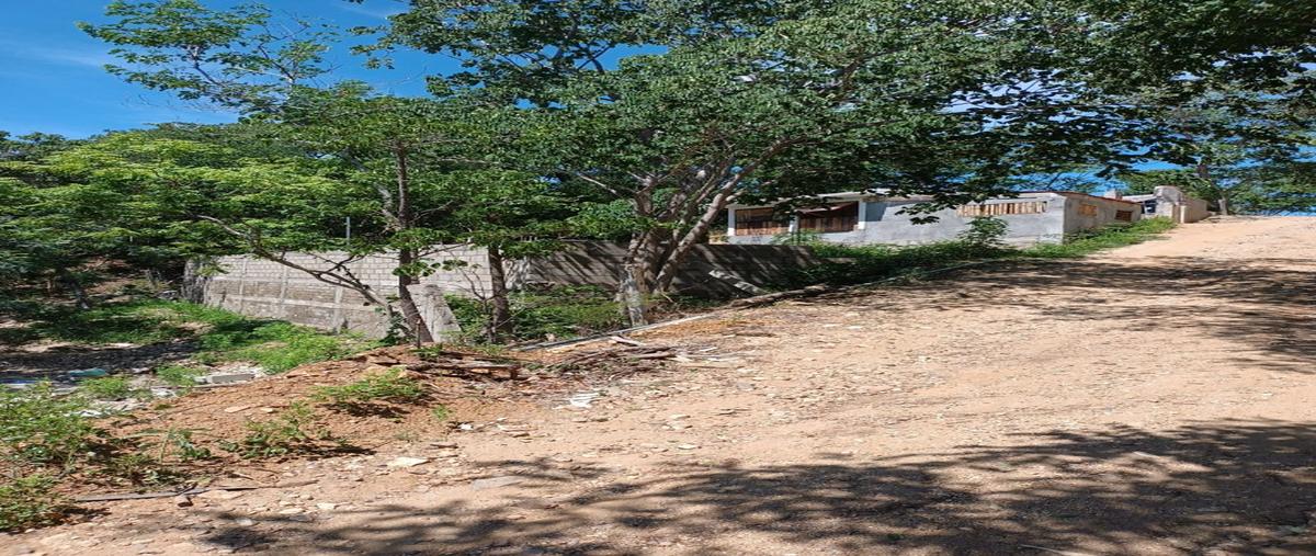Foto de terreno habitacional en , santa maría tonameca centro, santa maría tonameca, oaxaca, 27444339 foto 03 Foto de terreno habitacional en venta en , santa maría tonameca centro, santa maría tonameca, oaxaca, 27444339 No. 03