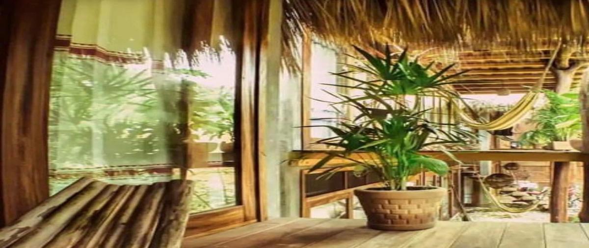 Foto de edificio en venta en  , santa maría tonameca centro, santa maría tonameca, oaxaca, 0 No. 04