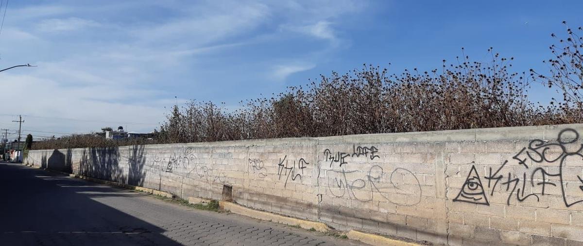 Foto de terreno habitacional en venta en  , santa maría tulantongo, texcoco, méxico, 27345167 No. 04