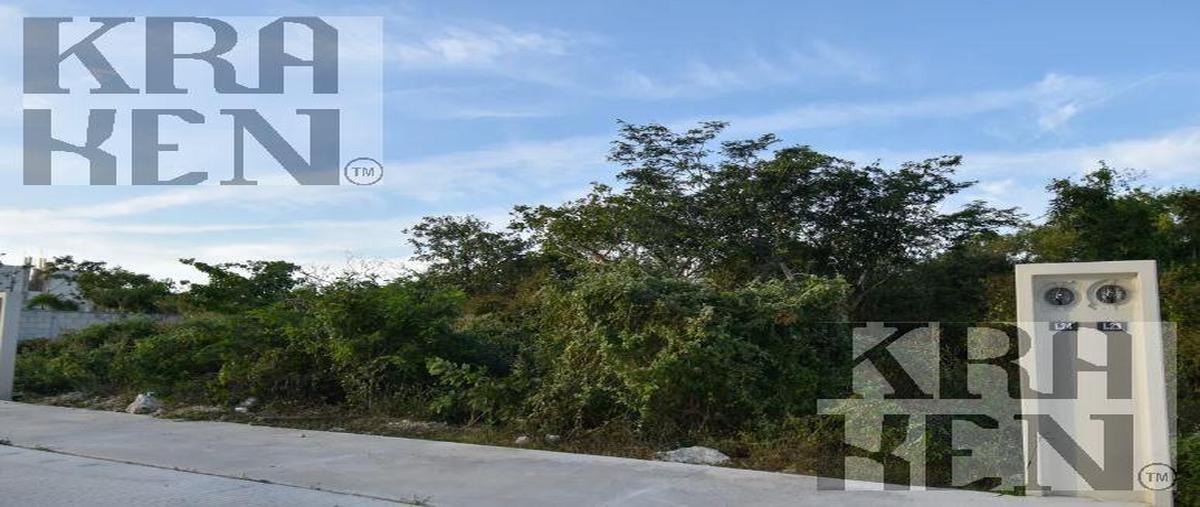 Foto de terreno habitacional en , santa maria, yaxcabá, yucatán, 30078418 foto 02 Foto de terreno habitacional en venta en , santa maria, yaxcabá, yucatán, 30078418 No. 02