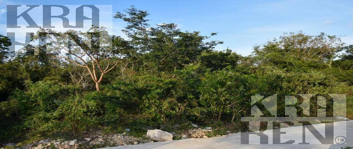 Foto de terreno habitacional en , santa maria, yaxcabá, yucatán, 30078418 foto 03 Foto de terreno habitacional en venta en , santa maria, yaxcabá, yucatán, 30078418 No. 03