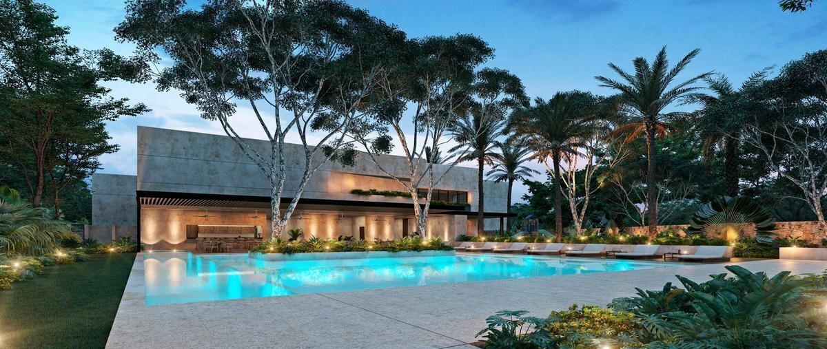 Foto de terreno habitacional en venta en  , santa maría yaxché, mérida, yucatán, 28792029 No. 04