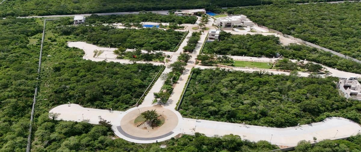 Foto de terreno habitacional en , santa maría yaxché, mérida, yucatán, 29710765 foto 05 Foto de terreno habitacional en venta en , santa maría yaxché, mérida, yucatán, 29710765 No. 05