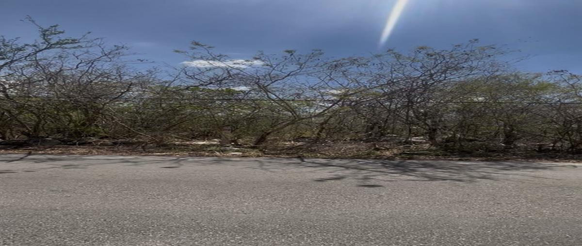 Foto de terreno habitacional en , santa maría yaxché, mérida, yucatán, 0 foto 02 Foto de terreno habitacional en venta en , santa maría yaxché, mérida, yucatán, 0 No. 02