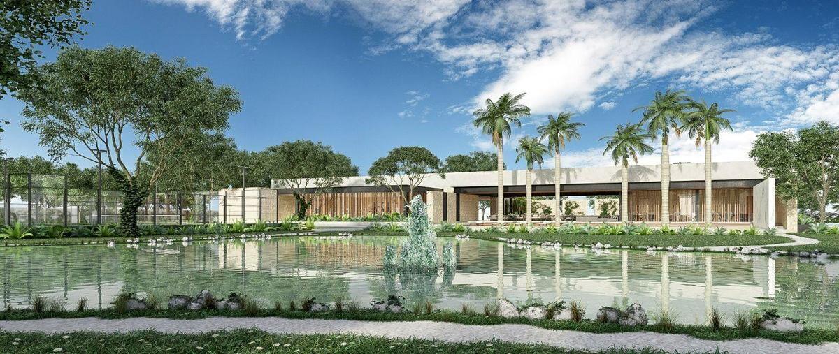 Foto de terreno habitacional en venta en  , santa maría yaxché, mérida, yucatán, 30657951 No. 03