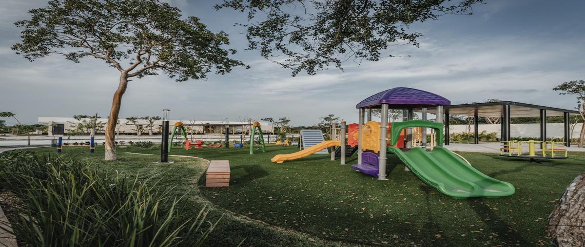 Foto de terreno habitacional en venta en  , santa maría yaxché, mérida, yucatán, 30710616 No. 05