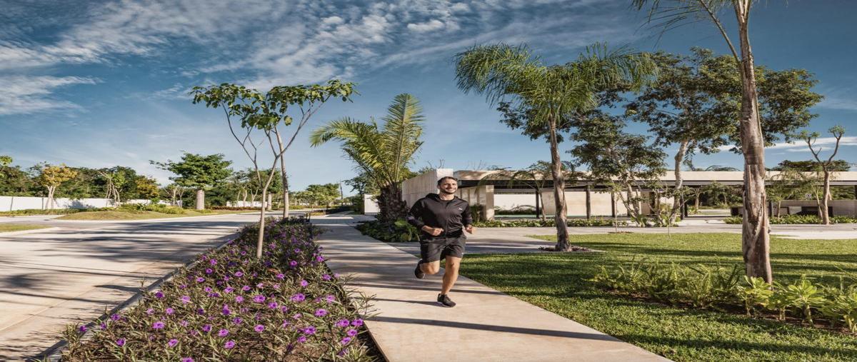 Foto de terreno habitacional en , santa maría yaxché, mérida, yucatán, 30710626 foto 02 Foto de terreno habitacional en venta en , santa maría yaxché, mérida, yucatán, 30710626 No. 02