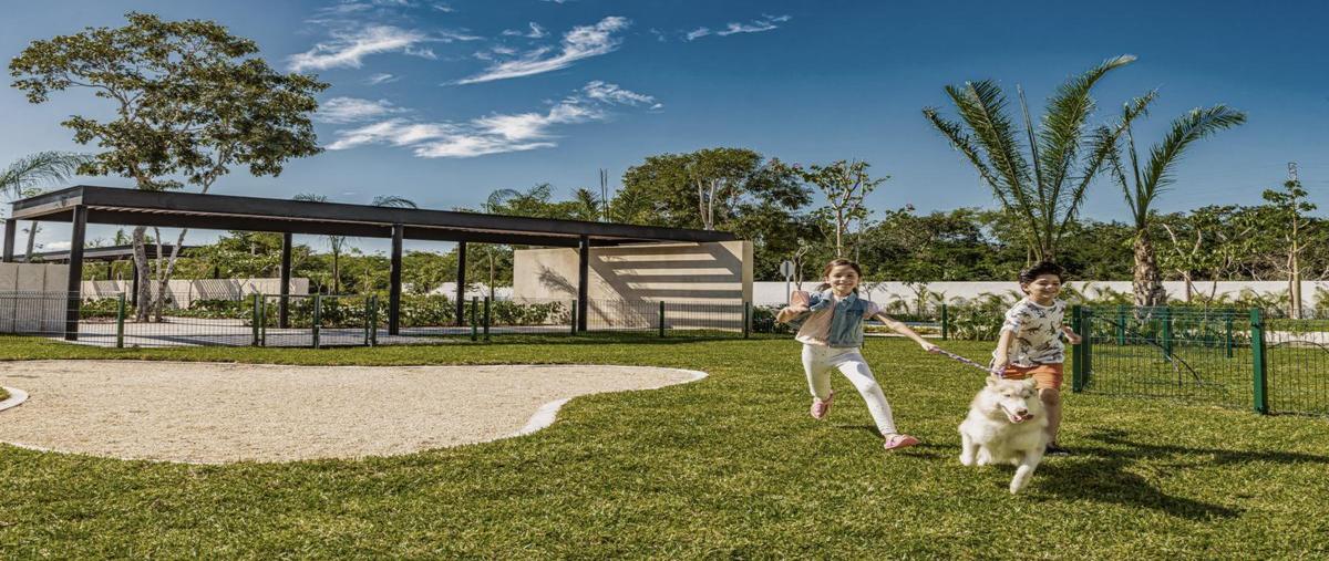 Foto de terreno habitacional en , santa maría yaxché, mérida, yucatán, 30710626 foto 03 Foto de terreno habitacional en venta en , santa maría yaxché, mérida, yucatán, 30710626 No. 03