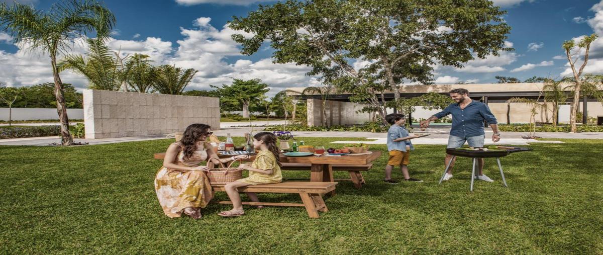 Foto de terreno habitacional en , santa maría yaxché, mérida, yucatán, 30710626 foto 04 Foto de terreno habitacional en venta en , santa maría yaxché, mérida, yucatán, 30710626 No. 04