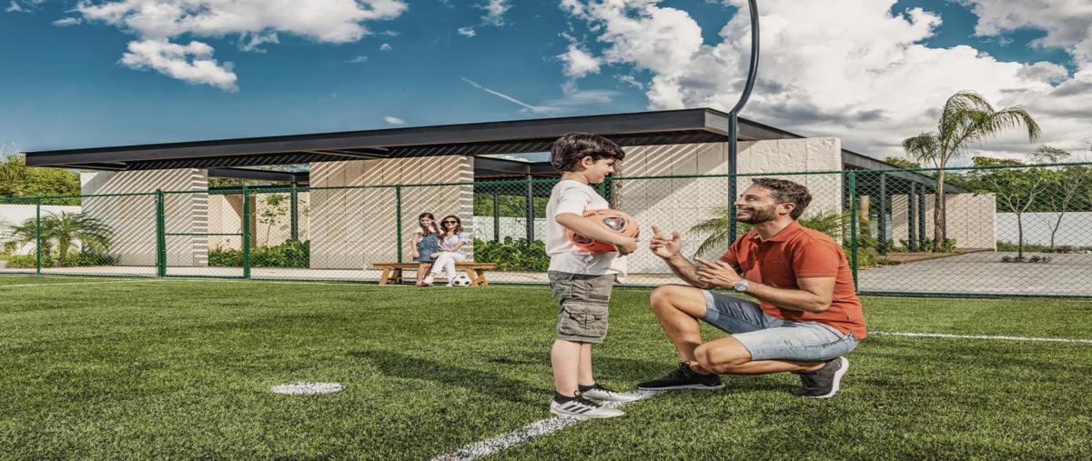 Foto de terreno habitacional en , santa maría yaxché, mérida, yucatán, 30710626 foto 05 Foto de terreno habitacional en venta en , santa maría yaxché, mérida, yucatán, 30710626 No. 05