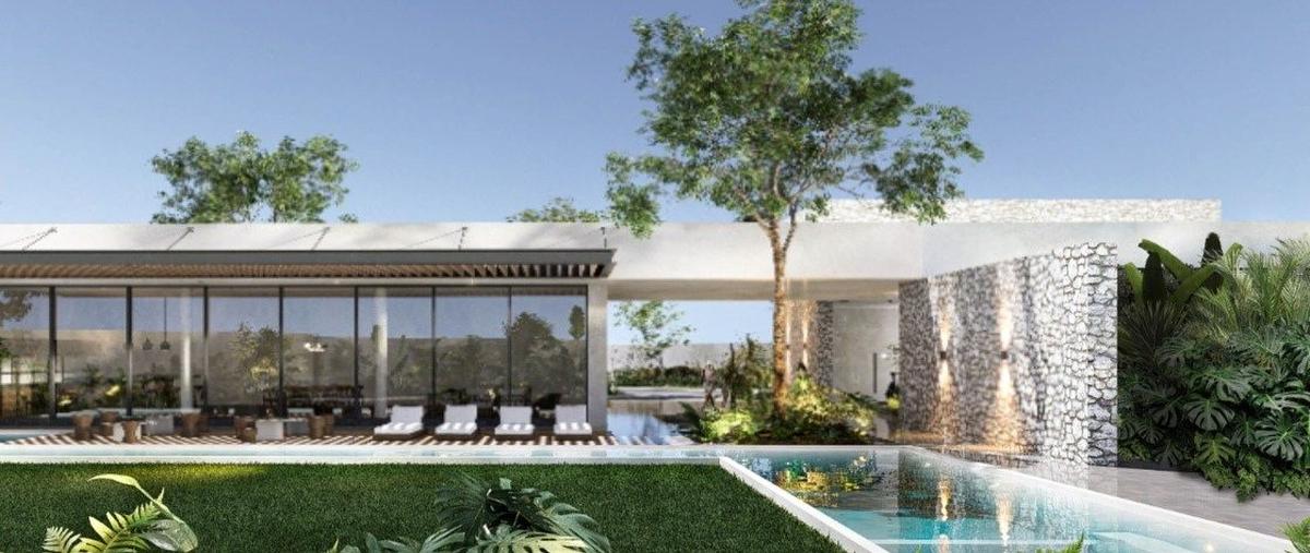 Foto de terreno habitacional en venta en  , santa maría yaxché, mérida, yucatán, 0 No. 04