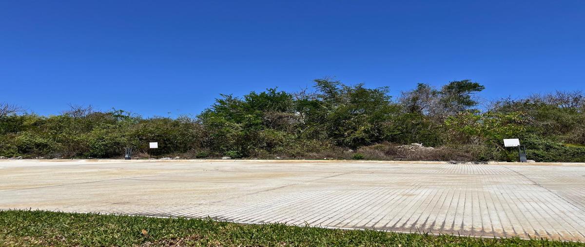 Foto de terreno habitacional en venta en  , santa maría yaxché, mérida, yucatán, 0 No. 05